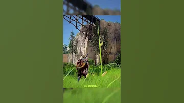 This game has its beauty