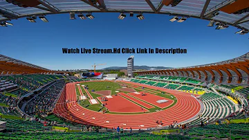 [ZH] 直播：2026 年 CARIFTA 运动会 - 田径
