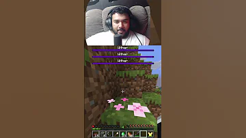[HI] Minecraft हमारे समय का सपना है, मैं कसम खाता हूँ ????
