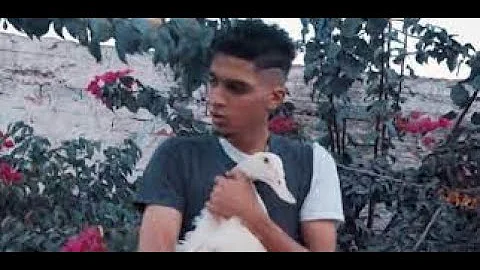 [HI] शाइमा कॉमेडी फेस्टिवल की व्याख्या #शाइमा_क्लिप