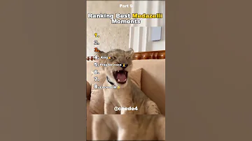 [EN] Funniest Medazelli????#ranking #medazelli #tiktok