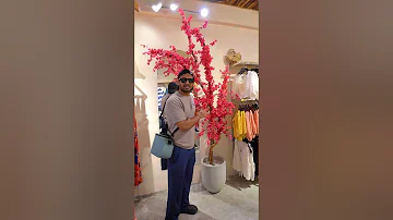 Stupid questions that customers ask in shops #shortvideo #funny #srilanka #comedy