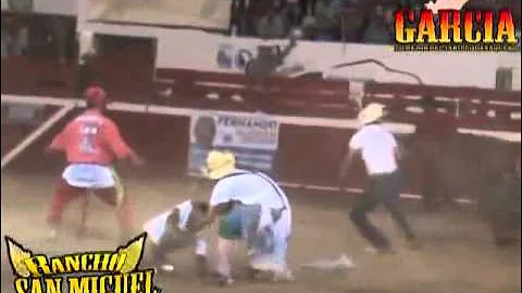 funny videos 2014 best Of