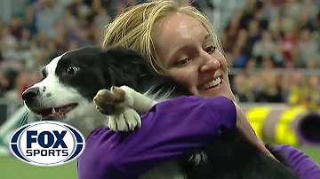 [EN] P!nk the border collie wins back-to-back titles at the 2019 WKC Masters Agility | FOX SPORTS