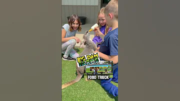 Join us for Fluff Fest!