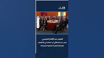 [ZH] 塞西总统：继续借贷会导致债务积累恶性循环