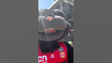 [EN] Meet with Wilbur at Perth Wildcats Fan Day 2022/2023