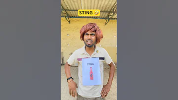 Sting pi lo ???? | comedy shorts | The most viral comedy video ???? shorts