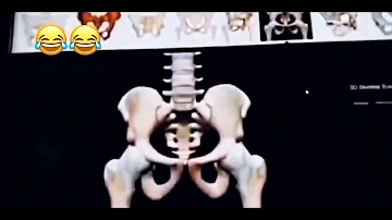 funny new video 2026