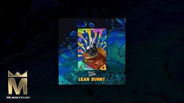 [ZH] Fvck Error - Lean Bunny（FEEL MUSIC EXCLUSIVE - 官方音乐视频）
