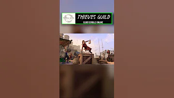 [ZH] 《ESO》中的盗贼公会带着巨大的新变化回归