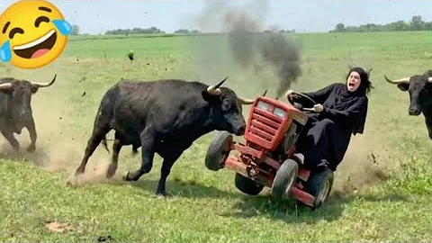 Try Not To Laugh ???? | Crazy Funny Fails & Pranks 2026