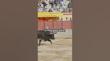 Pamplona's Insane Bull Run Adventure! #liveboldly #culturalevents #shorts