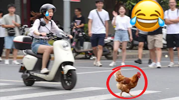 World’s Hardest Try Not To Laugh Challenge 2026 ???? | Funny Fails Compilation (99% FAIL) Prt 20 