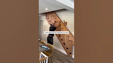 would you call this husband material or nah? drop your answer ⬇️ #comedy #viral #fortheboys