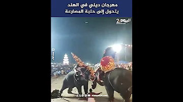 مهرجان ديني في الهند يتحول إلى حلبة المصارعة