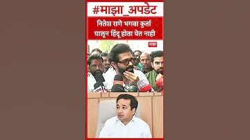 [EN] Amit Thackeray On Nitesh Rane : Nitesh Rane cannot be a Hindu by wearing a saffron kurta