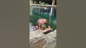 [ZH] 碎！