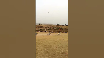 [HI] #Tangier_Online #tanger_online अंतर्राष्ट्रीय घुड़सवारी महोत्सव अपने दसवें सत्र में है।