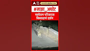 [ZH] Raigad Bibtya 新闻 : 在前往 Neral-Matheran 的路上看到一只豹子