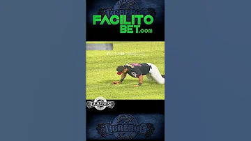 [EN] Tigres de Aragua vs Tiburones de la Guaira: Today we remember this amazing catch by Jorge Cortés