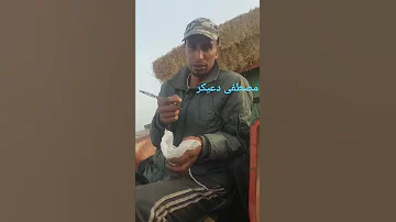 [ZH] #Fokaha_Maroc 新摩洛哥幽默 #2022 幽默 #tiktok #comedy