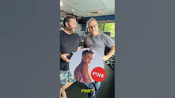 [ZH] 每个音乐节一首歌曲 - P!NK
