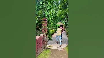 [HI] मजेदार वीडियो 2026