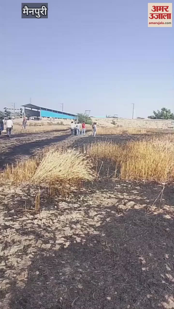 The latest news of short video