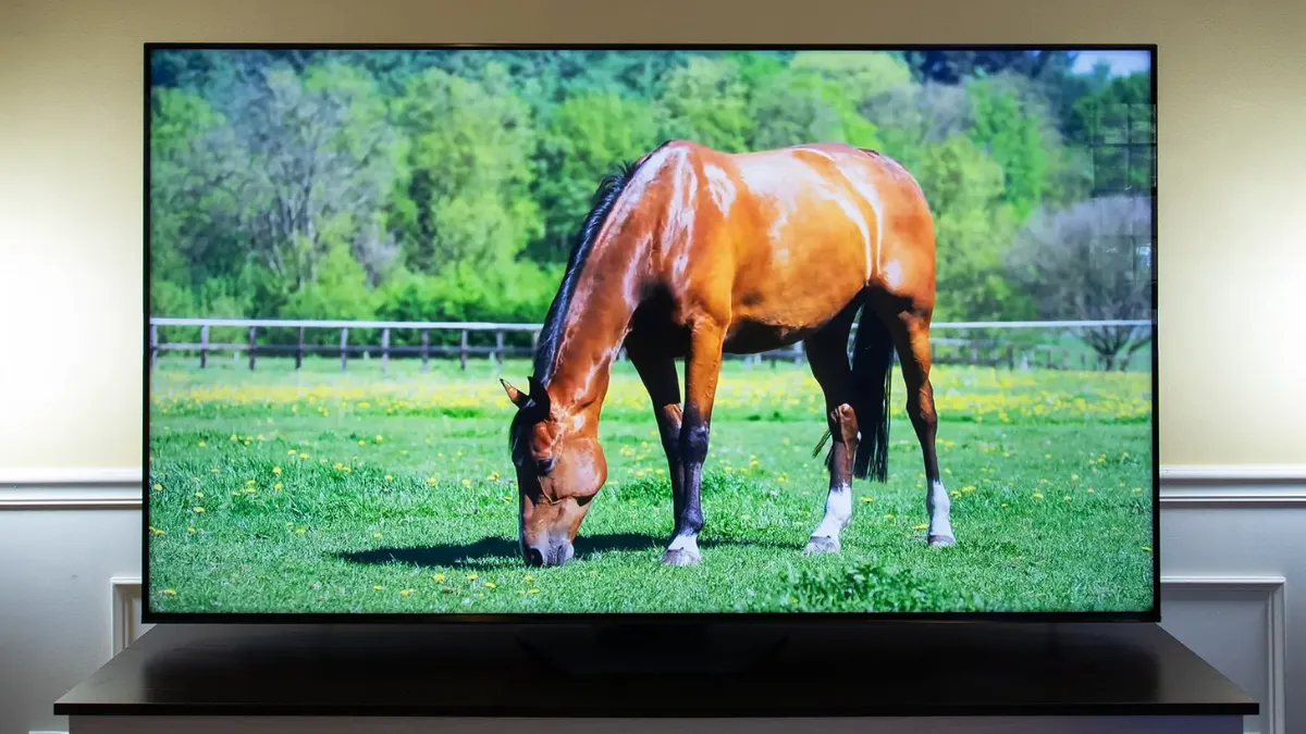 Top budget smart TVs of 2025: Affordable entertainment with premium features