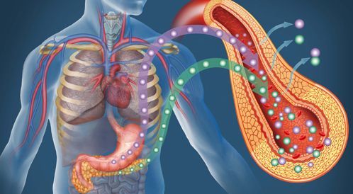 Diabetes -effect on blood sugar