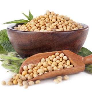 Pictures: beans and types of legumes