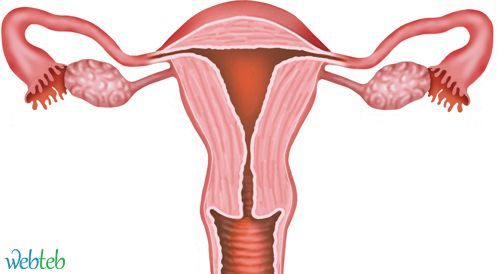 Watch the video: Treat uterine fibroids