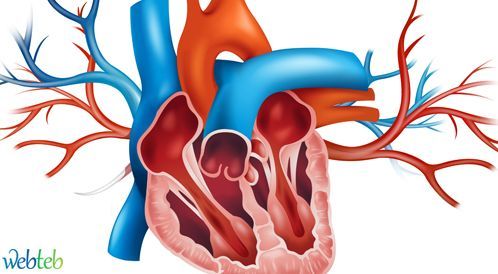 Video: The spiritual valve