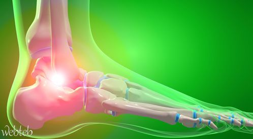 Watch the video: Single sprout