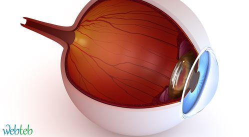 Watch the video: Cornea Transplantation