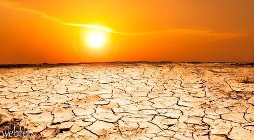 Read more about the damage of sunlight with photos