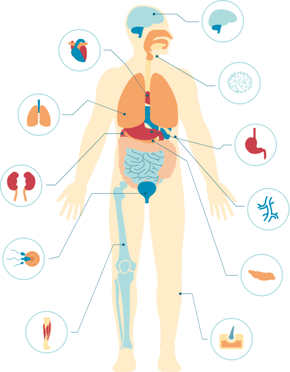 Web medicine for medicine and health department