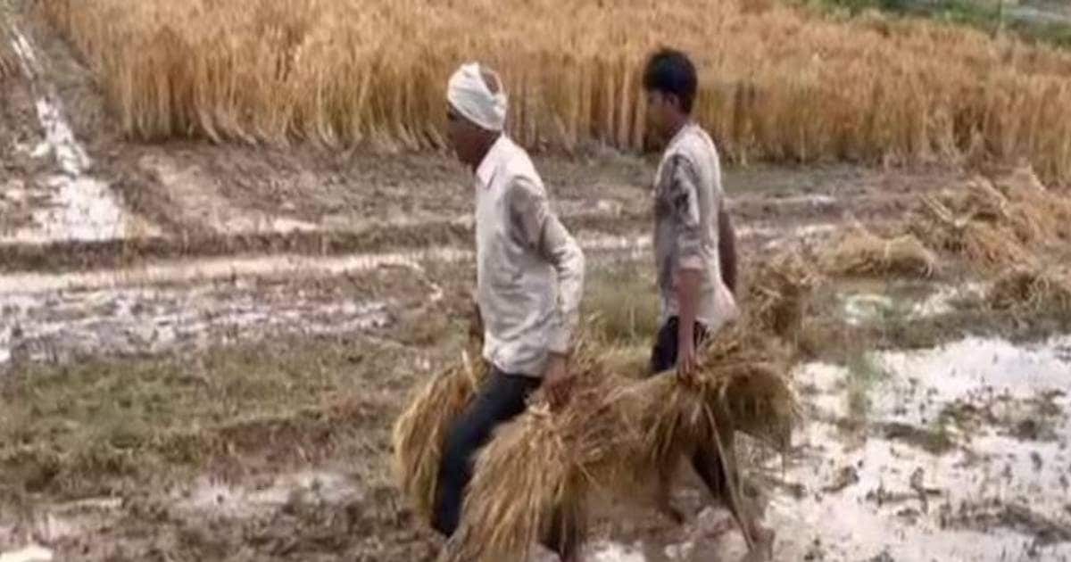 Punjab burns here due to the warm -up, today in 7 states rain for farmers