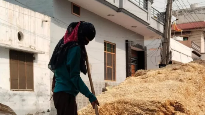 Mother made her daughter a boxer, won medals at national level; The story of Kaithal’s Nikita is inspiring – by working as a labor mother, made her daughter