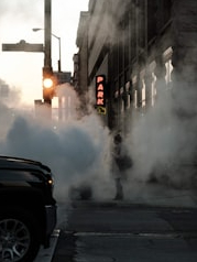 Pollution affects hair and skin