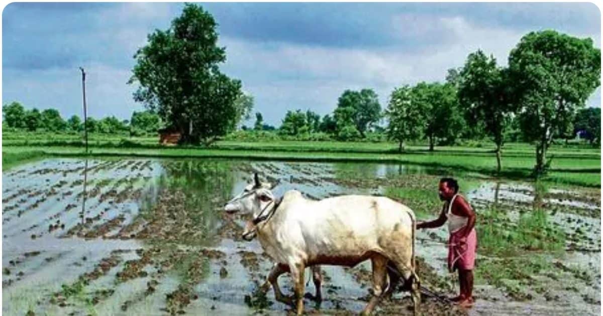 Monsoon will beat in Kerala long in advance, IMD said: How much rain will be