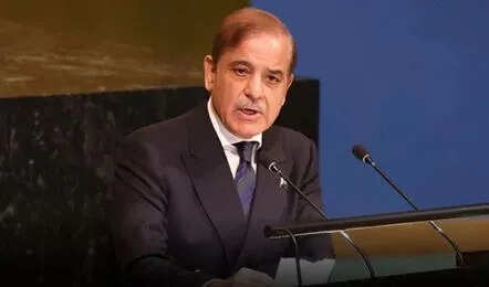 Pakistan, Prime Minister Shahbaz Sharif pleaded with America to talk to India