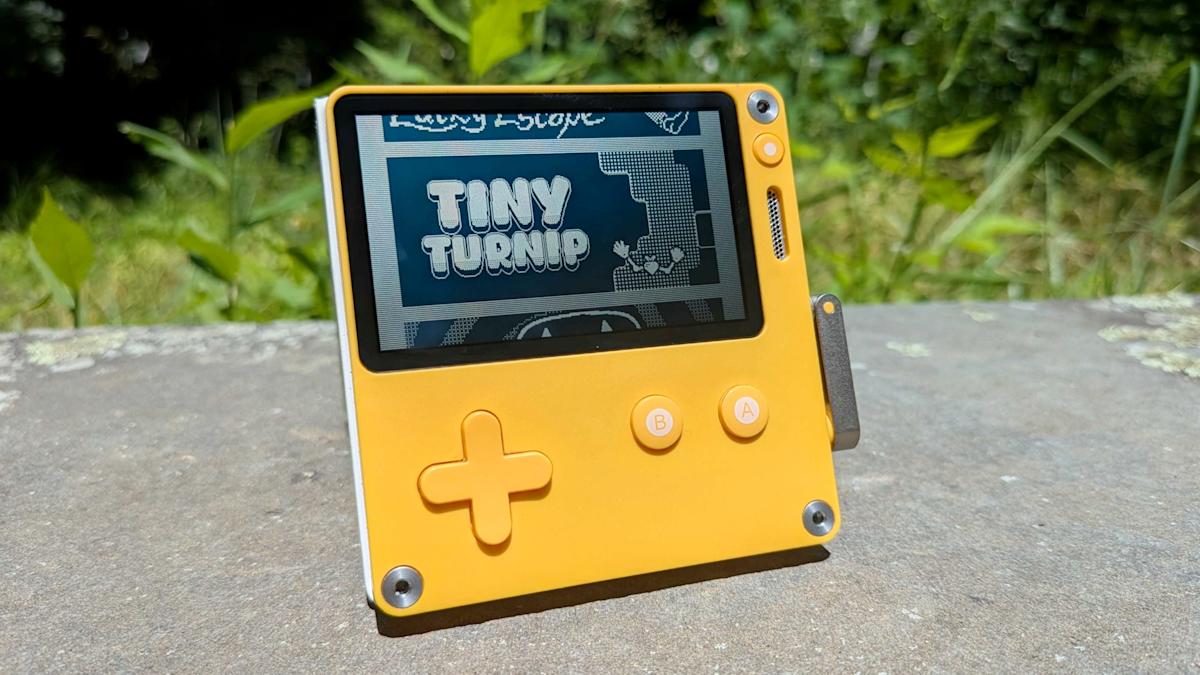 small-turnip-and-chance’s-lucky-break-out