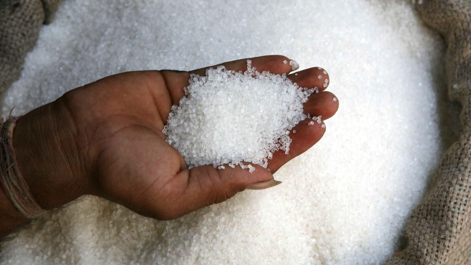 India’s sugar production to recover in the 2025-26 season, says Millers’ body | Mint