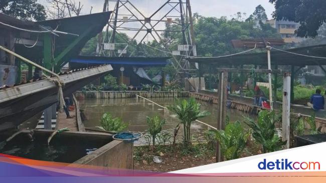 Old graves in East Jakarta are controlled