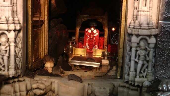 Do you know who built the famous Karni Mata Temple of Bikaner? Construction -sage of the temple to go to viral documentary