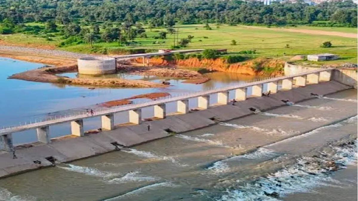 Dumka’s Mayurakshi -River killed four teenagers, weeds in town