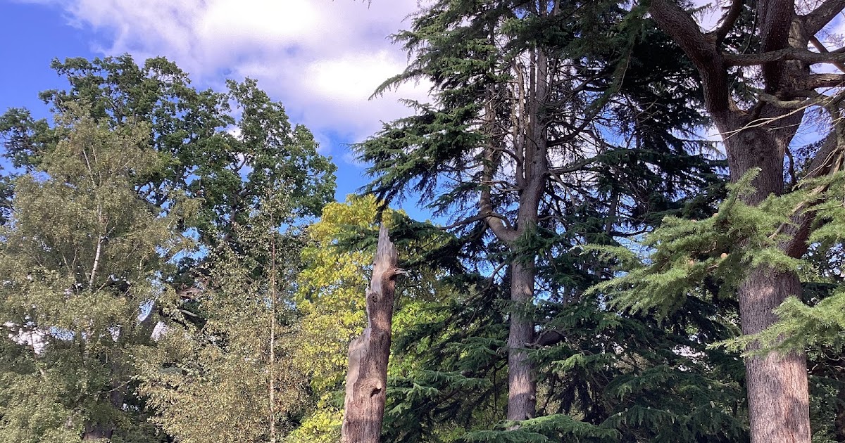 New Look for ACRL Framework Sandbox – ryan