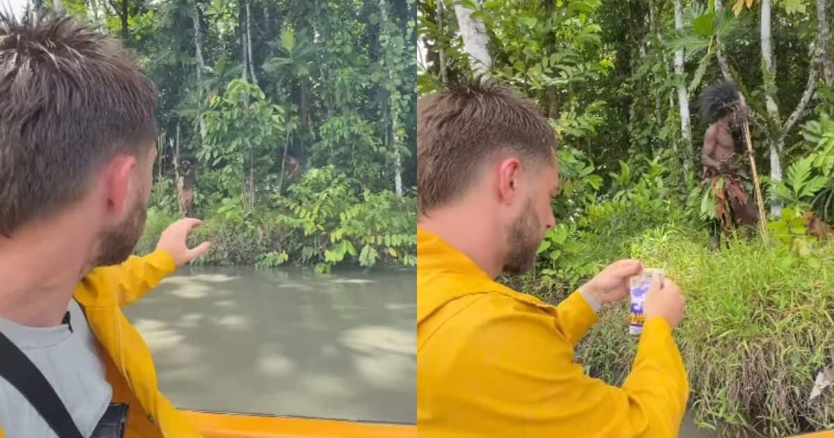 If the person who is going to make a video in the woods looks the stem, then the salt to eat, you will get up to see what happened!